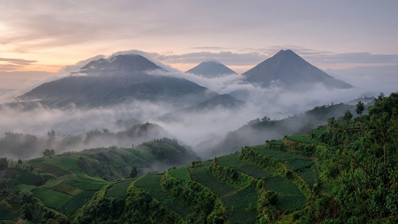 Volcanoes